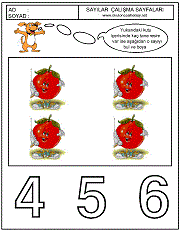 okul öncesi sayılar çalışma sayfaları